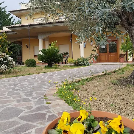بيت ضيافة L'anfora 3*