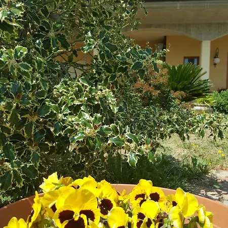 L'anfora