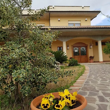 L'anfora *