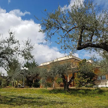 بيت ضيافة L'anfora 3*